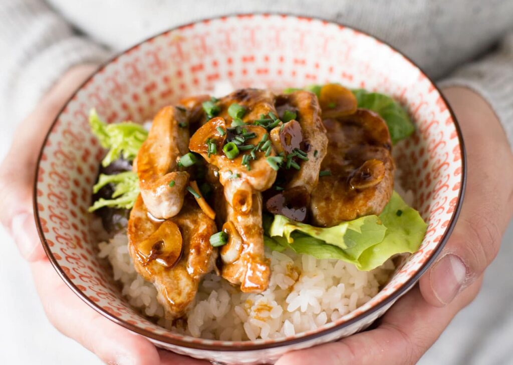 Pork donburi rice bowl in hands