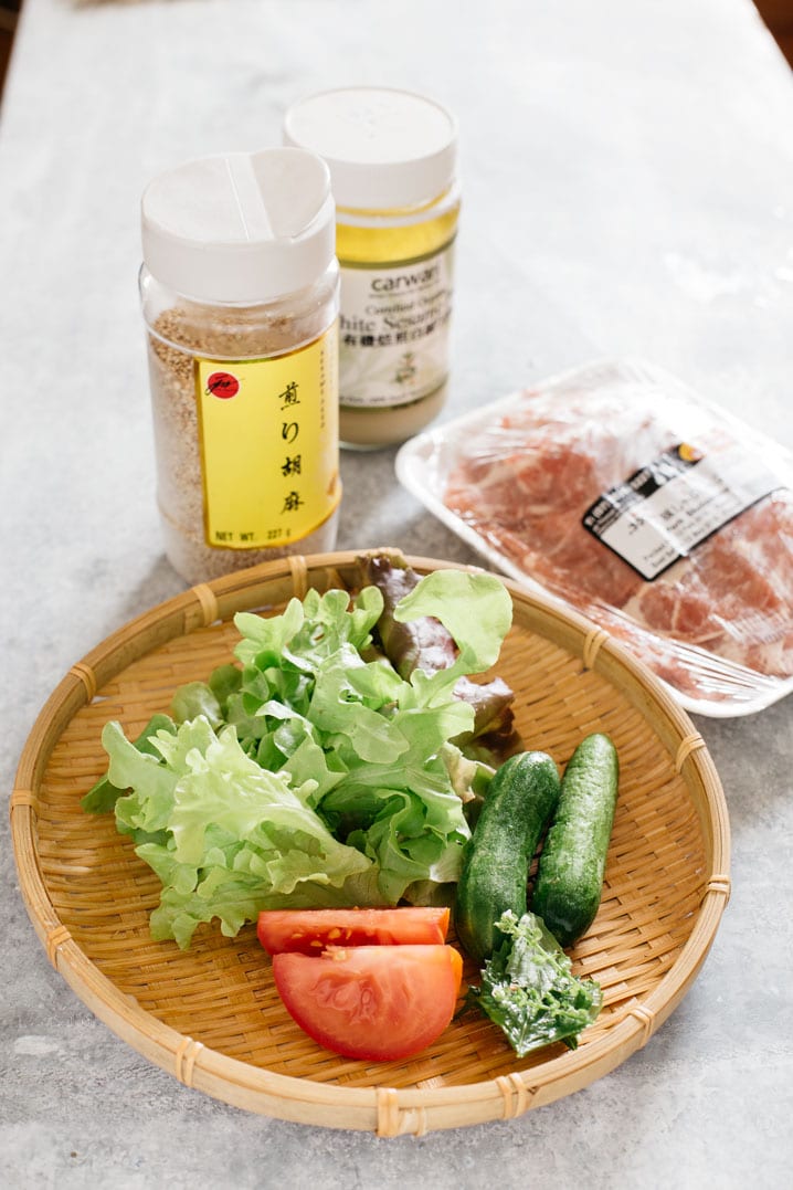 Japanese cold udon noodle salad ingredients spring veggies and thinly sliced pork and sesame seeds and sesame paste bottles 