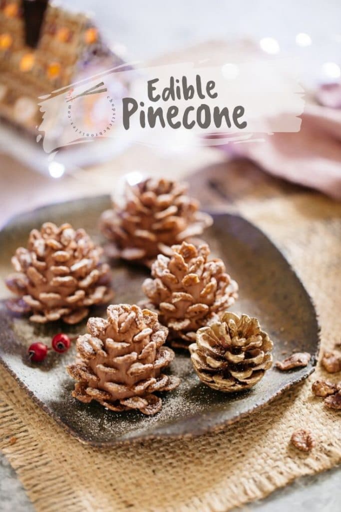 4 edible pinecone and 1 real pinecone on a plate