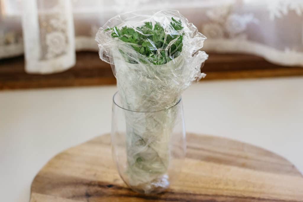 Shungiku wrapped in kitchen paper towel uplight in a glass