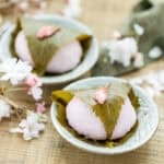 two sakuramochi on a small round plate each with cherry blossom branch around