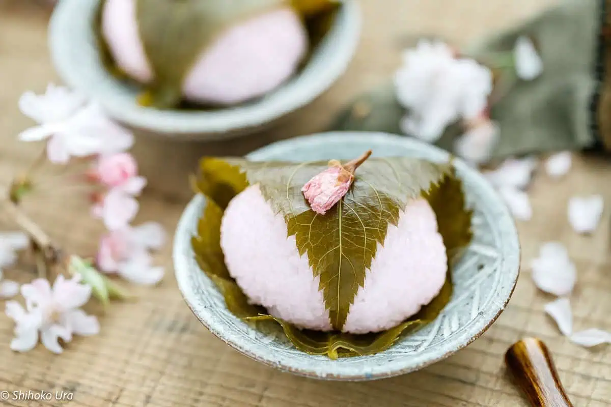 a sakura mochi on a round plate with cherry blossom branch scattered in the background
