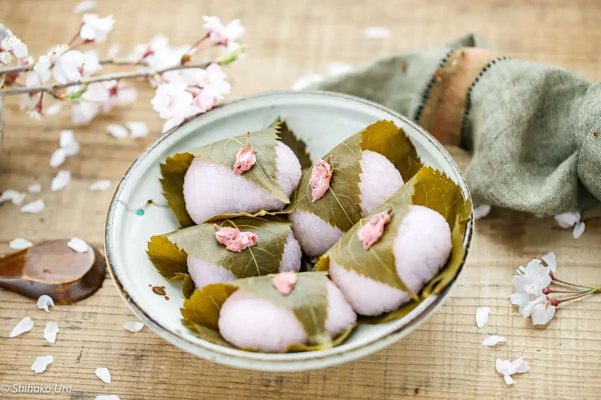 5 sakura mochi served on a round shallow plate with scattered cherry blossom flowers and branch in background
